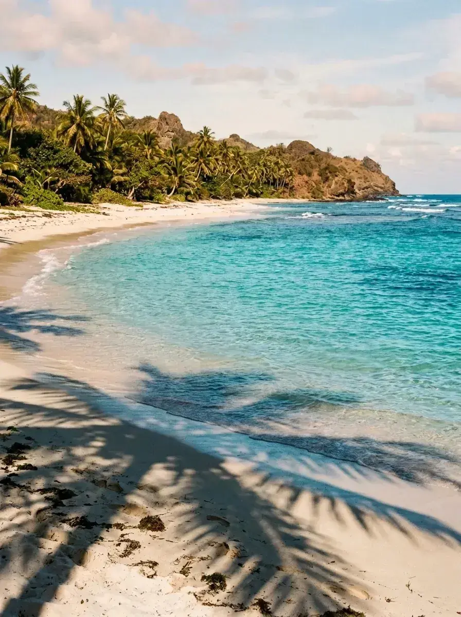 A tropical beach with turquoise water and white sand is empty of people, showing only the natural landscape and palm tree shadows.