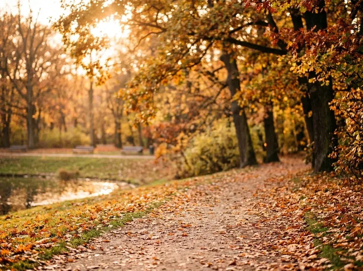 An empty path covered in fallen leaves winds through a park with autumn trees and a pond, with no people present.