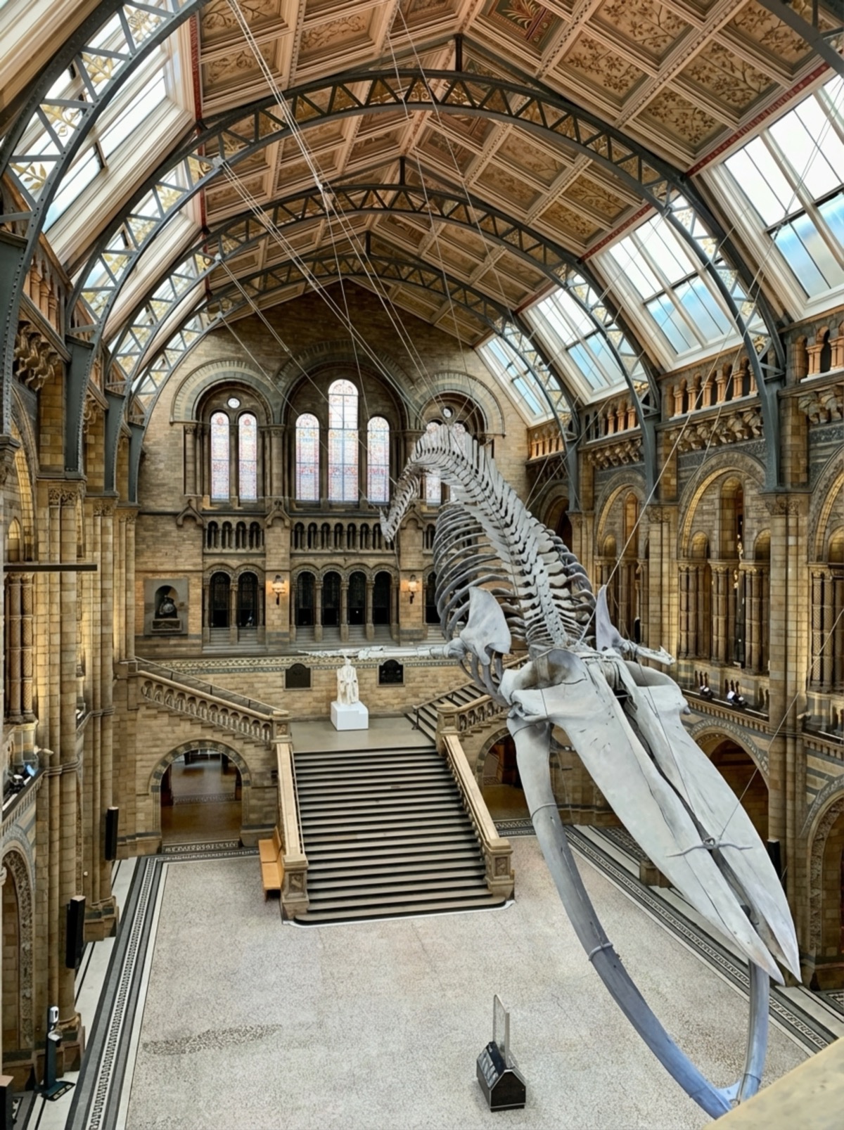 Natural History Museum Hintze Hall empty with only blue whale skeleton - after AI removed visitors